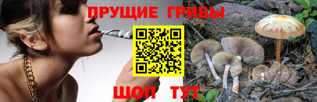 Набережные Челны  Галлюциногенные грибы Psilocybe  Псилоцибиновые грибы GOLDEN TEACHER  Вход с VPN 