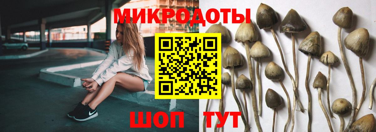 Псилоцибиновые грибы GOLDEN TEACHER Набережные Челны